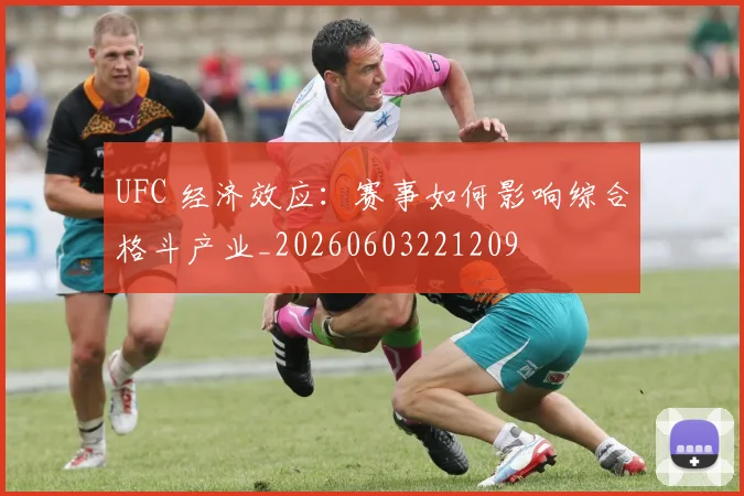 UFC 经济效应：赛事如何影响综合格斗产业_20260603221209