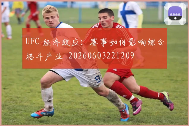 UFC 经济效应:赛事如何影响综合格斗产业_20260603221209