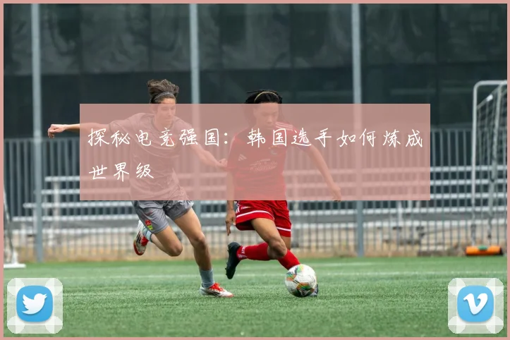 探秘电竞强国:韩国选手如何炼成世界级