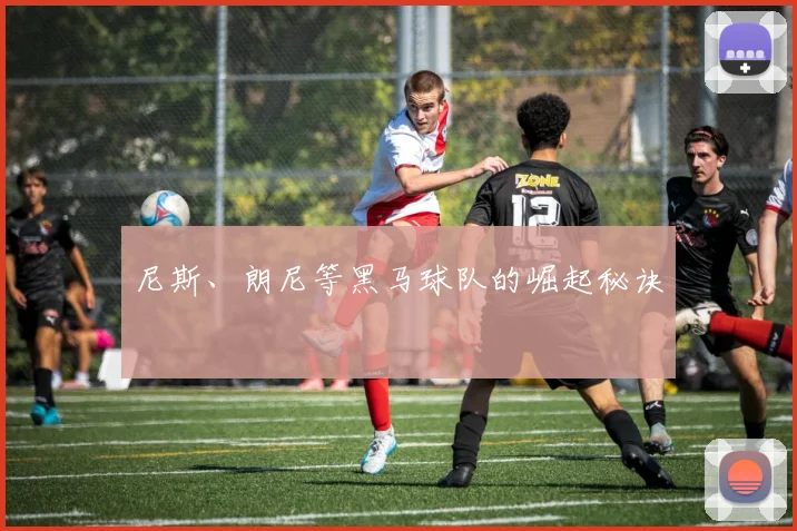 尼斯、朗尼等黑马球队的崛起秘诀